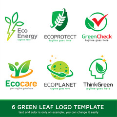 Green Eco Leaf Logo Template Design Vector 