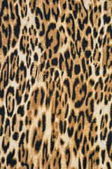 texture of print fabric striped leopard