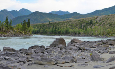 sandy beach on the river Katun, Altai Mountains, Siberia, Russia