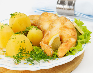 Slices of grilled sea bass