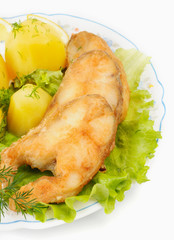 Slices of grilled sea bass