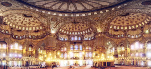 Fototapeta na wymiar Blue Mosque Sultan Ahmet Cami