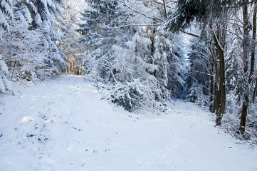 Crossroads of light and darkness. Winter road in covered snow fo