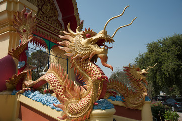 The dragon of buddhism