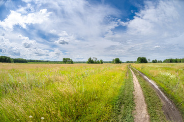 Fototapeta na wymiar spring road in a field