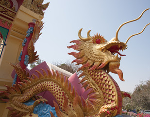 Fototapeta na wymiar The dragon of buddhism