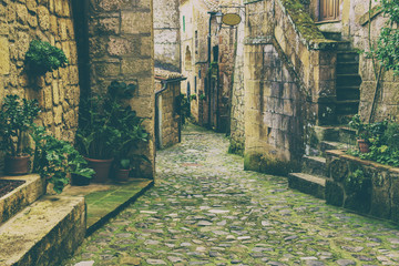 Narrow street of medieval tuff city Sorano with green plants and cobblestone, travel Italy vintage  background