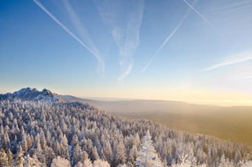 Winter forest in the mountains sunrise Majestic winter trees glowing by sunlight. Dramatic wintry scene.  Happy New Year! © dudinart
