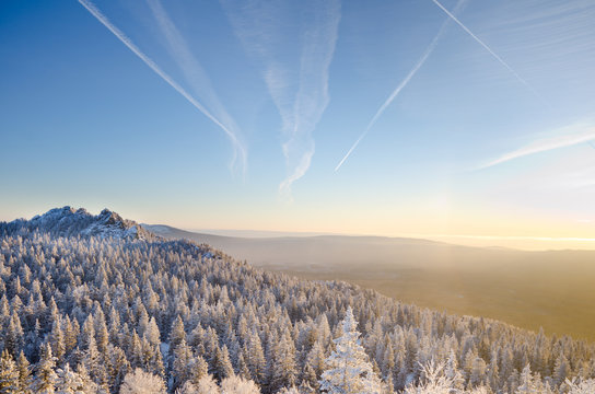 Winter forest in the mountains sunrise Majestic winter trees glowing by sunlight. Dramatic wintry scene.
Happy New Year!