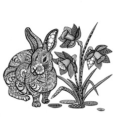 the rabbit with narcissus flowers hand drawn outline for adult coloring isolated on the white background