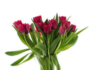 vase with purple tulips