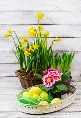 Easter eggs and flowers on a light wooden background