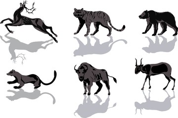 Wild animals with reflecting shadows vector set © Massaget