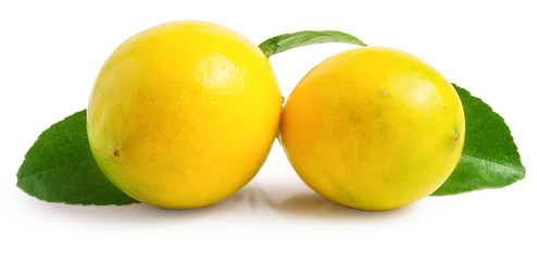 fresh lemons with green leaves isolated on white background