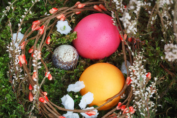 Easter eggs in a basket with a green moss