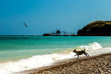 Fototapeta na wymiar italian seaside