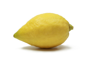 Etrog (Jewish citron), isolated