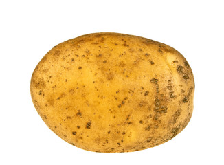 Potato on white background