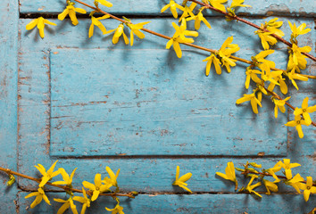 Spring yellow flowers on old blue wooden background