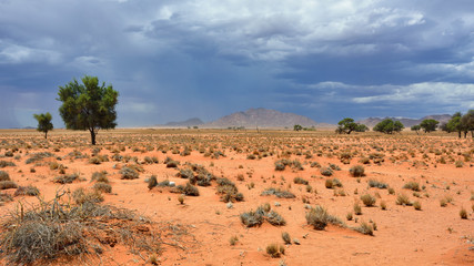 Namib desert landscape, Namibia