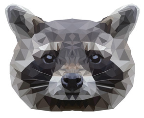 Coon portrait. Abstract low poly design. Vector illustration.