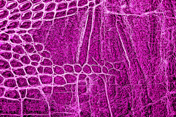 Violet alligator patterned background