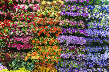 Flowers on the market