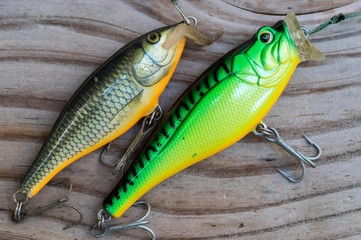 double fake victims for fishing