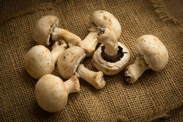 Funghi crudi su juta