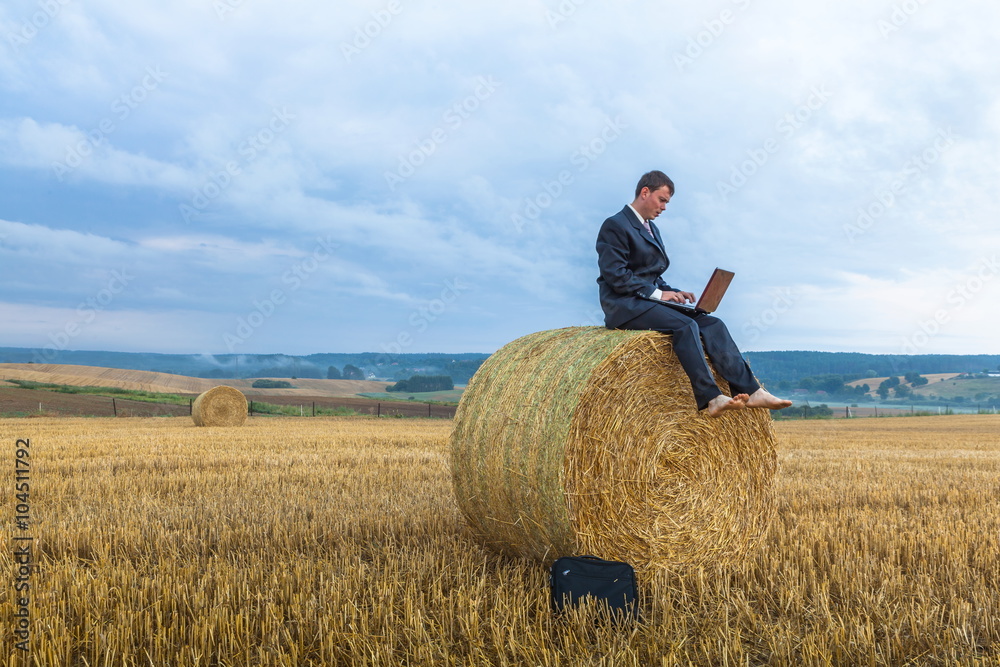 Wall mural contemporary businessman farmer in the landscape