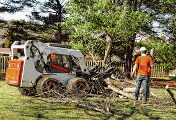 Professional landscapers removing branches and limbs off large silver maple tree in preparation for its removal.  Machinery used.
