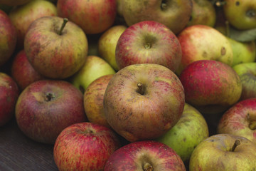 real apples