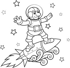 rocket surfer