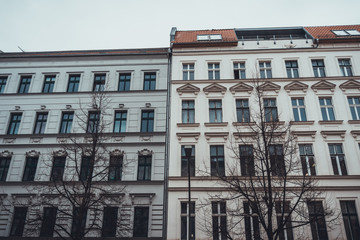 Low Rise Buildings with Bare Trees on Overcast Day