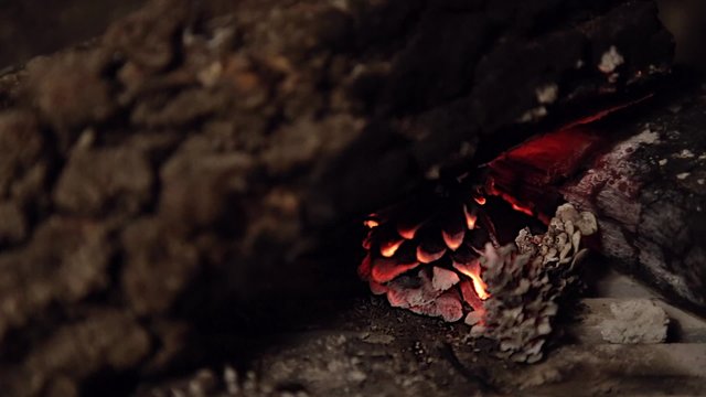 Wood logs burning in flames on a fireplace close up