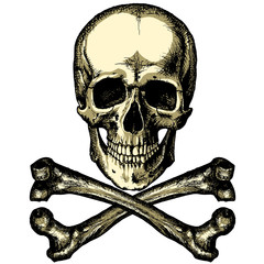 A skull and crossbones on a blank background