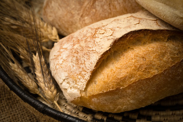 Pagnotta