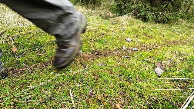 Man walking on mossy forest path. Outdoor activity concept. Summer hiking in wilderness area. Closeup of legs in hiking boots.