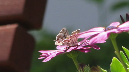 Repostando , descansando