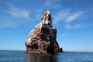 Naklejka premium La Lobera- Isla Espiritu Santo