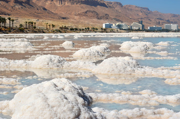 typical landscape of the dead sea, Israel