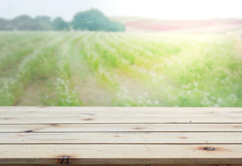 Table Top And Blur Nature of Background