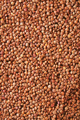 Raw whole red lentils