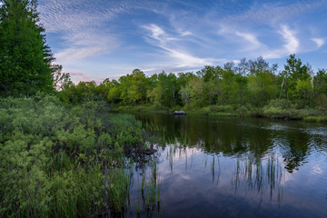 Obraz premium The Teal river in northern Wisconsin in early summer.