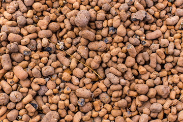 Heat expanded clay pebbles