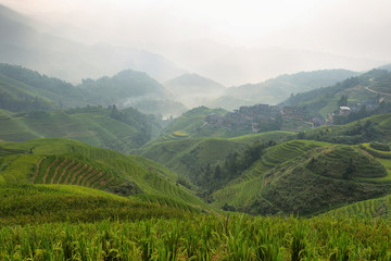 Fototapeta na wymiar Views of green Longji terraced fields and Tiantouzhai village