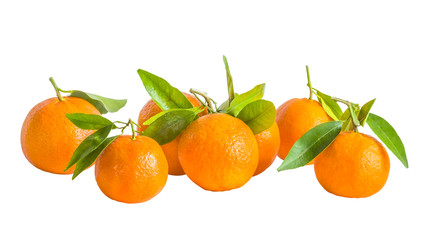 Tangerines close up on white background