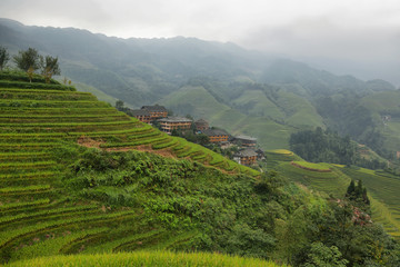 Fototapeta na wymiar Views of green Longji terraced fields and Dazhai village