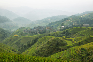 Fototapeta premium Views of green Longji terraced fields and Dazhai village