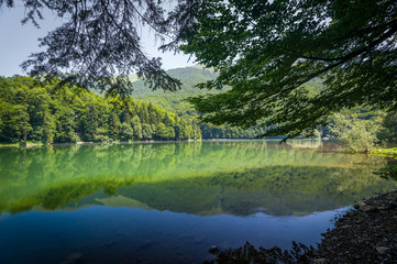 Landscape of mountain lake Biogradsko jezero